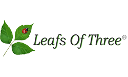 Leafs of Three Leafs of Three