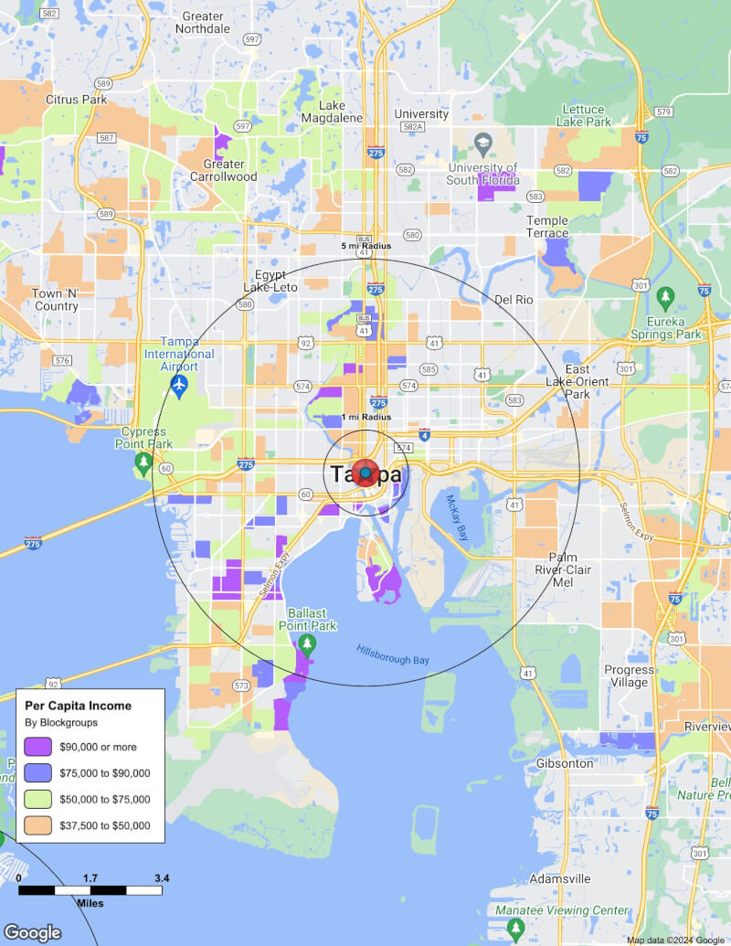 Map of Tampa,Florida including demographic data