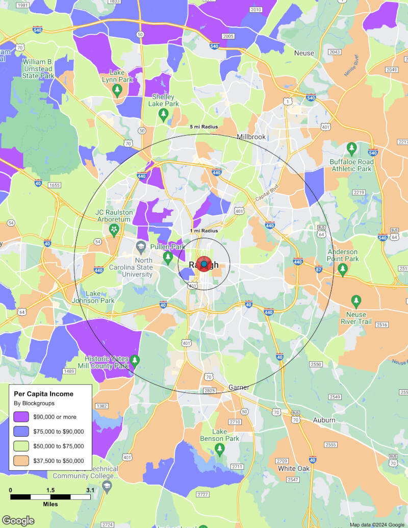 Map of Raleigh,North Carolina including demographic data