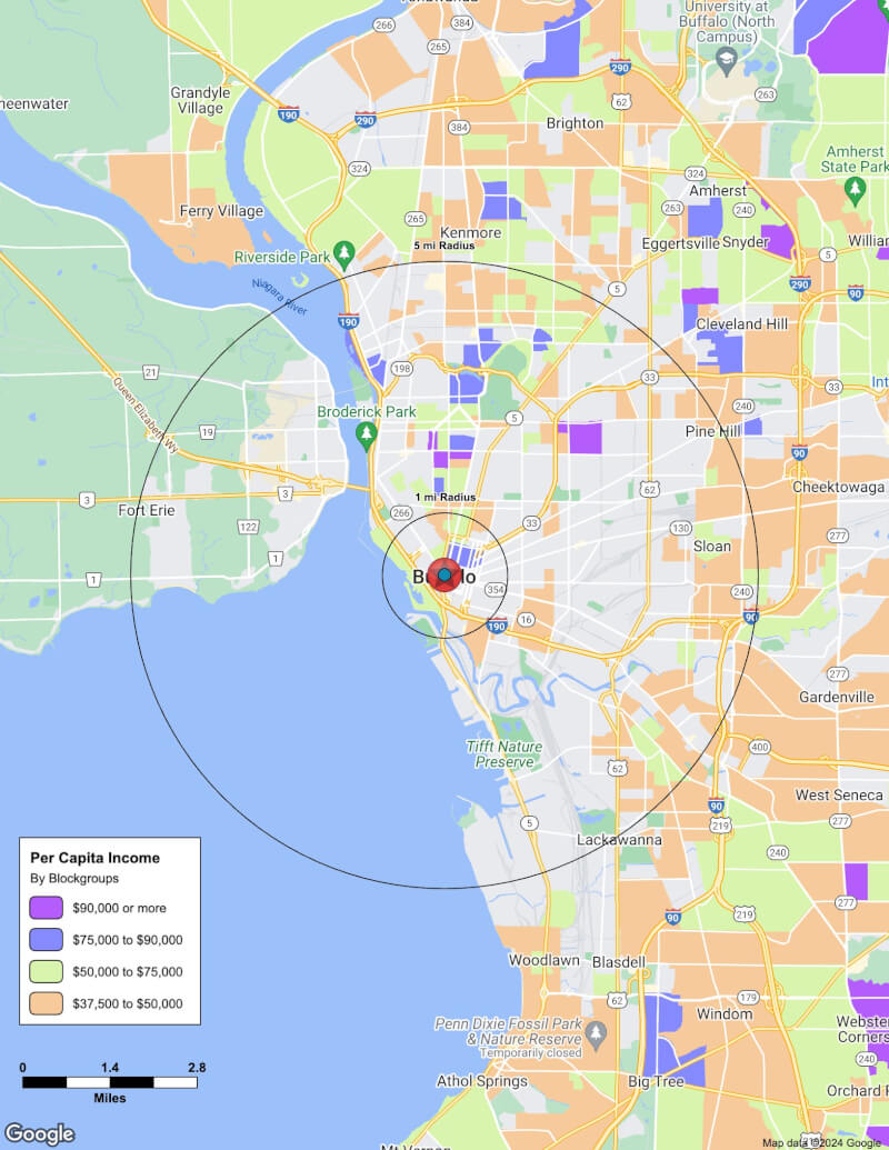 Map of Buffalo,New York including demographic data