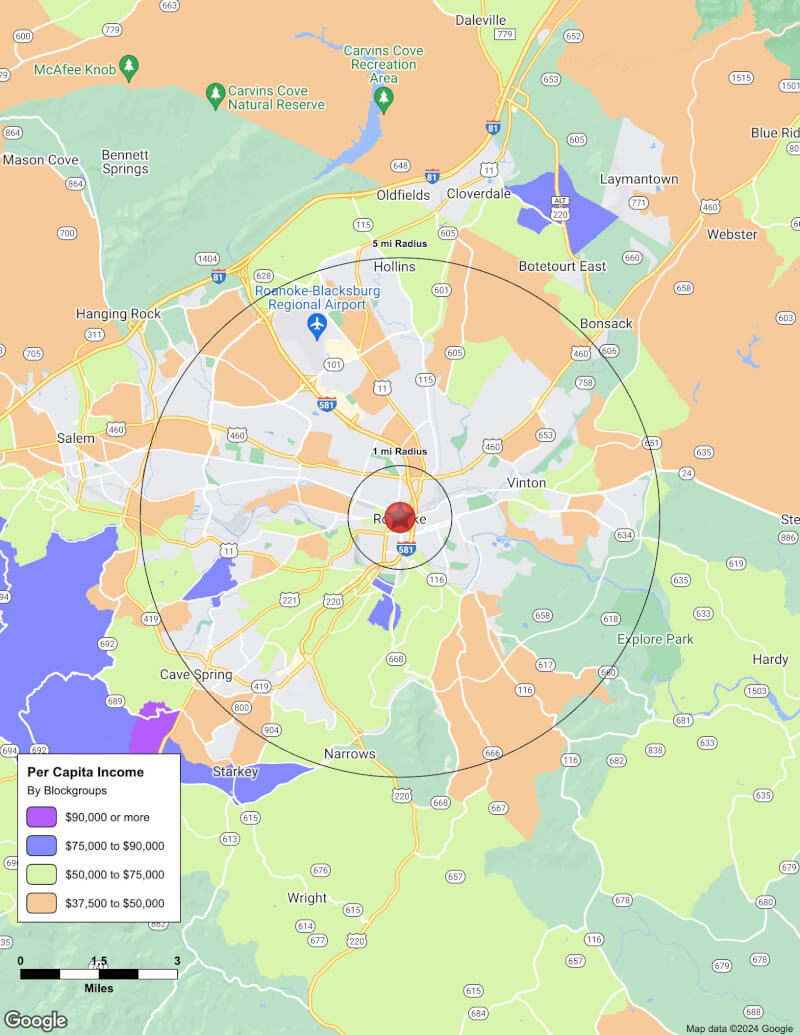 Map of Roanoke,Virginia including demographic data