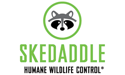 Skedaddle Humane Wildlife Control Logo Skedaddle Humane Wildlife Control