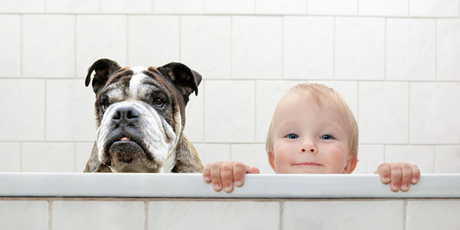 The Grout Medic Slider-2