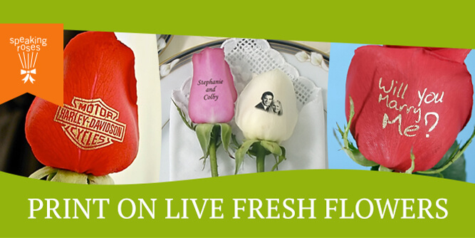 Speaking Roses Slider-1