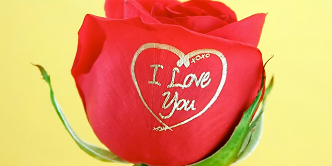 Speaking Roses Slider-3