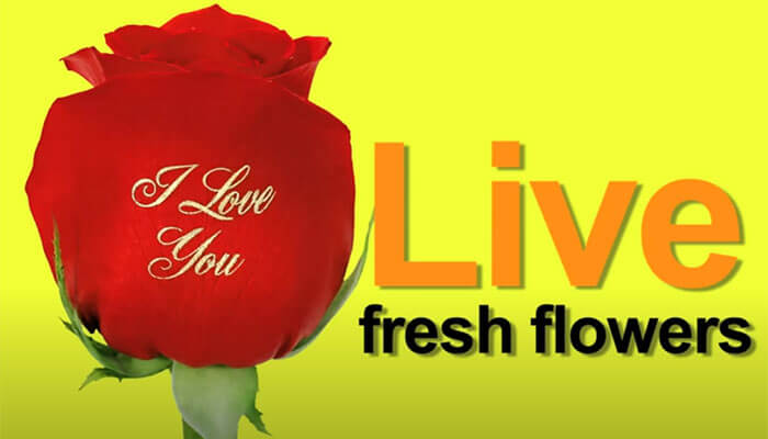 Speaking Roses Franchise Buyer’s Guide | FoodFranchise.com