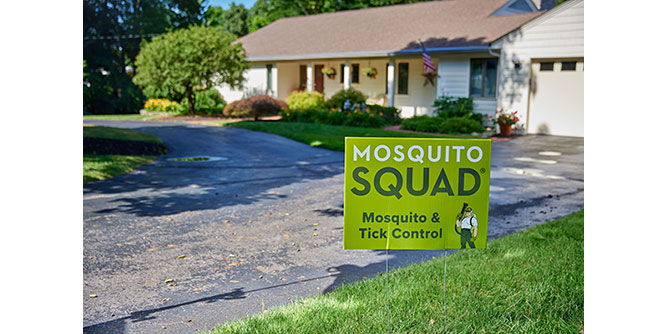 Mosquito Squad Slider-4