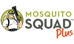 Mosquito Squad Mosquito Squad