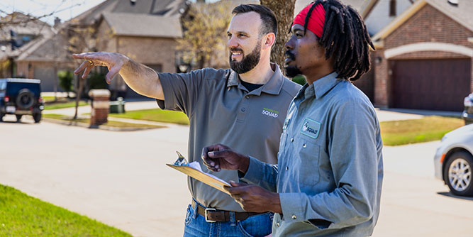 Mosquito Squad Slider-2