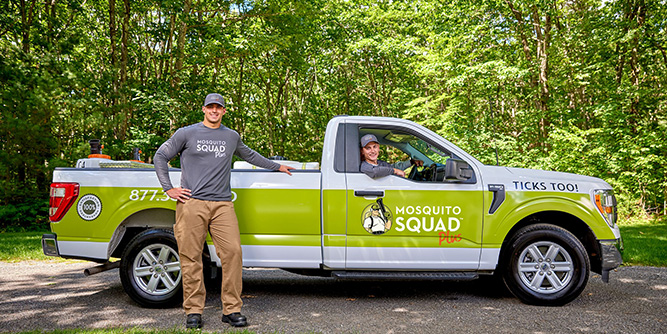 Mosquito Squad Plus Slider-3