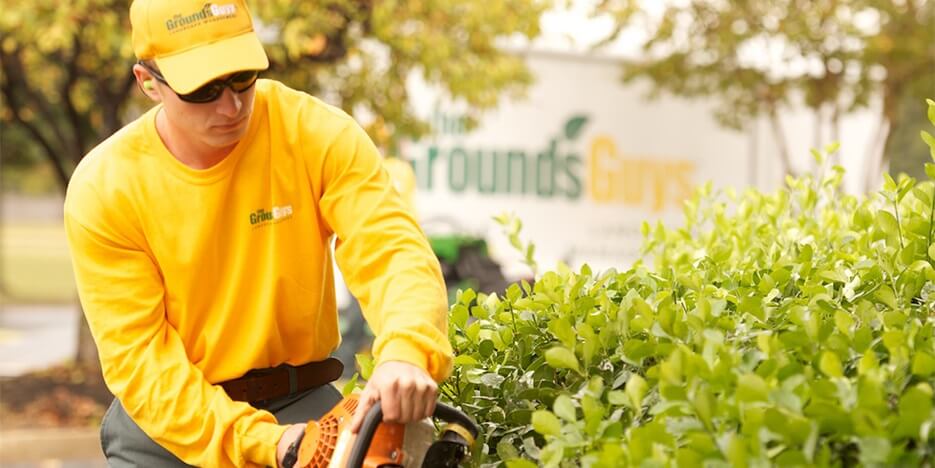 The Grounds Guys Slider-5