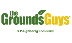 The Grounds Guys The Grounds Guys