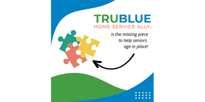 TruBlue Home Service Ally Slider-2
