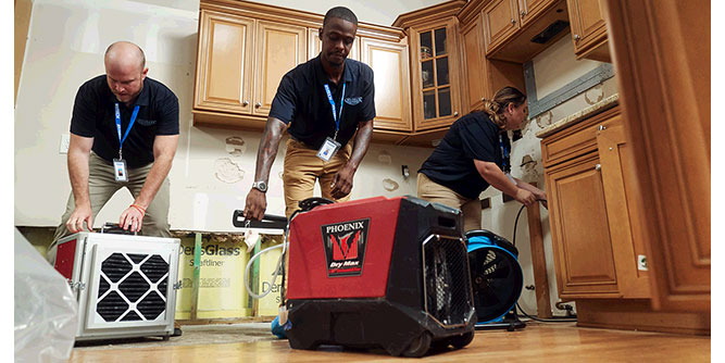 Rytech Water Damage & Mold Specialists Slider-2