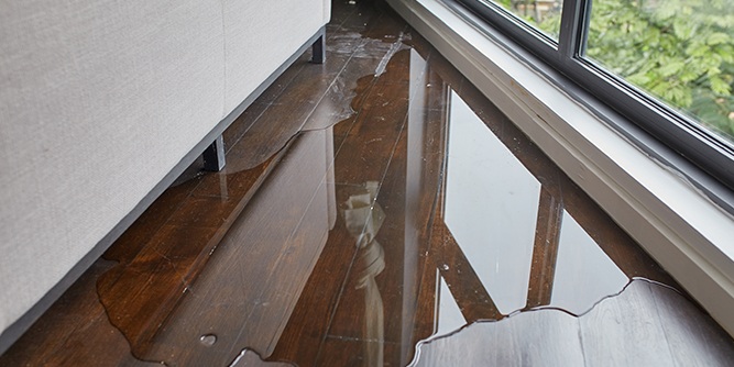 Steamatic - Restoration - Construction - Cleaning Slider-5