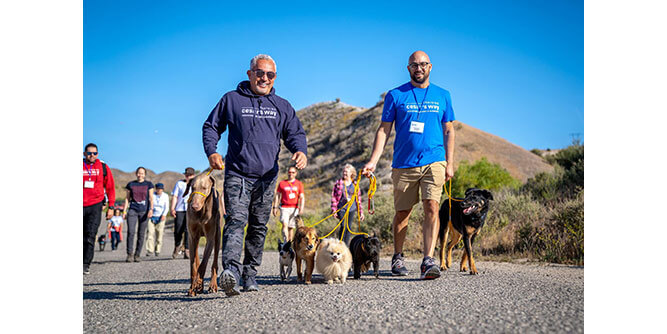 Always Faithful Dog Training Slider-1