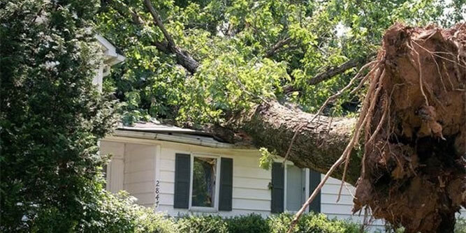 Best Option Restoration Slider-4