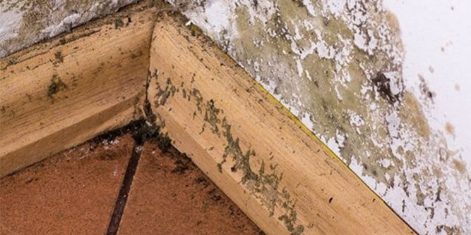 Best Option Restoration Slider-5