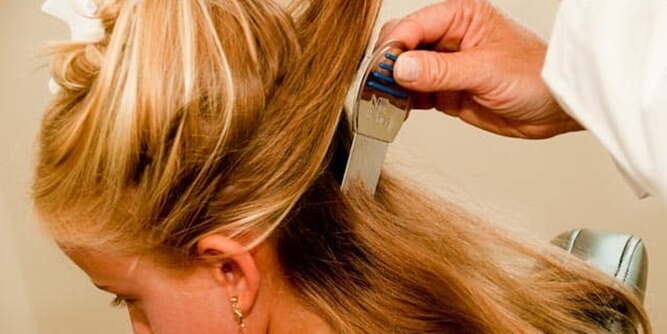 Lice Lifters Slider-5