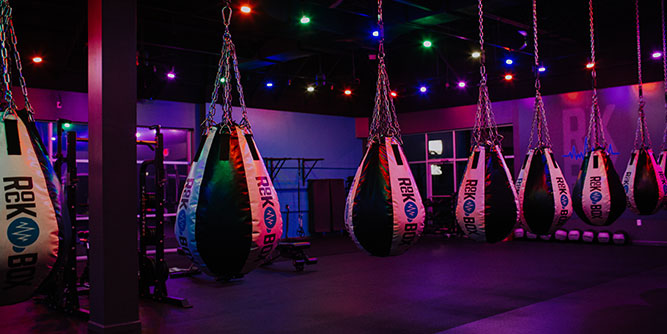 RockBox Fitness Slider-1