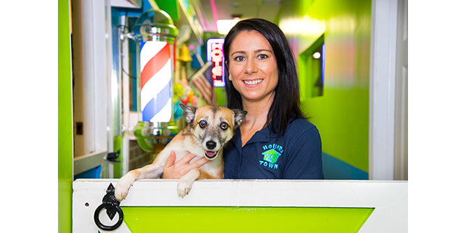 Hounds Town USA Slider-1