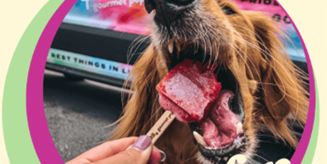 Frios Gourmet Pops Slider-6