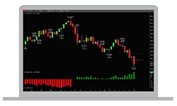 Franchise Opportunity Franchise Opportunity