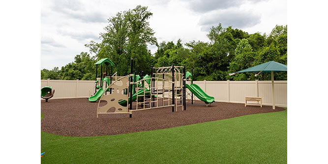Celebree School Slider-5