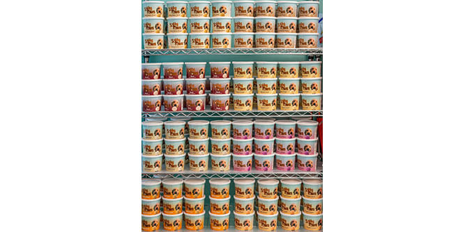 Salty Paws Doggie Ice Cream Shops and Doggie Ice Cream Trucks Slider-4