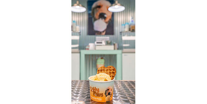 Salty Paws Doggie Ice Cream Shops and Doggie Ice Cream Trucks Slider-6