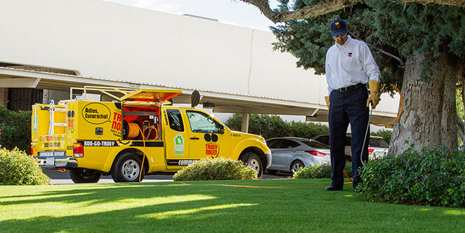 Truly Nolen - Pest Control Slider-5