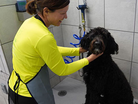 Pet Supplies Plus Pet Supplies Plus Slider 2