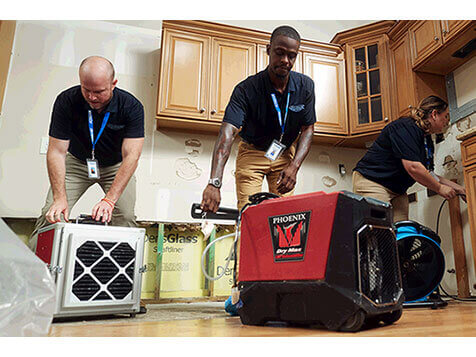 Rytech Water Damage & Mold Specialists Rytech Water Damage & Mold Specialists Slider 2