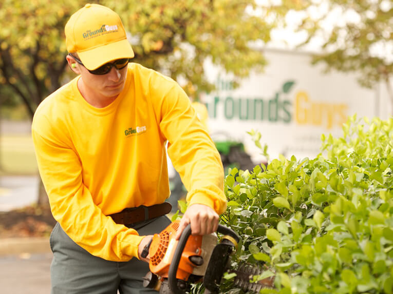 Grounds Guys Grounds Guys Slider 7