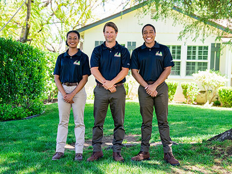 Monster Tree Service Monster Tree Service Slider 1