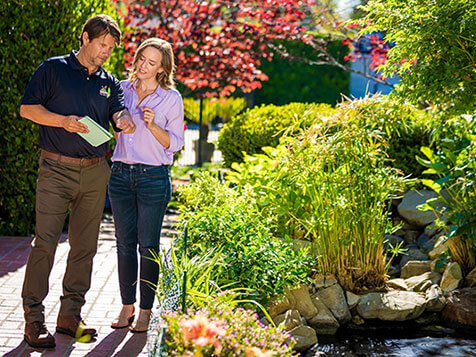 Monster Tree Service Monster Tree Service Slider 2