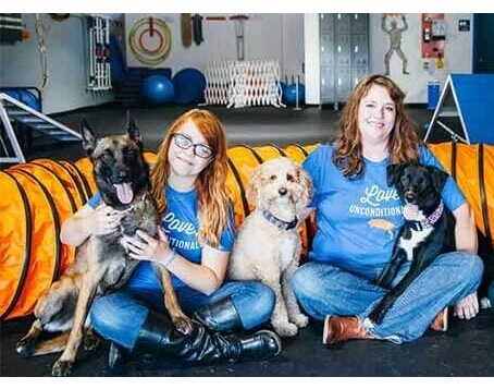 Zoom Room Dog Training Zoom Room Dog Training Slider 7