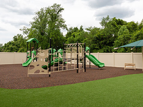 Celebree School Celebree School Slider 6