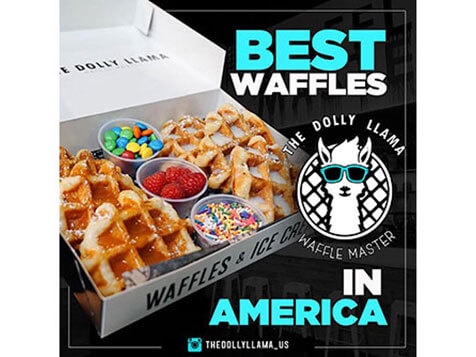 The Dolly Llama The Dolly Llama Slider 2