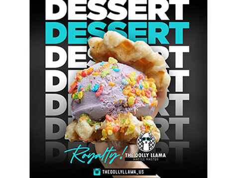 The Dolly Llama The Dolly Llama Slider 3