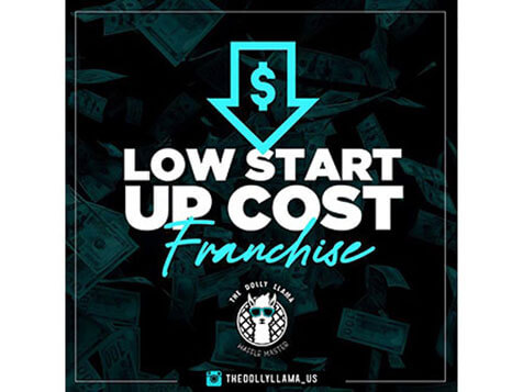 The Dolly Llama The Dolly Llama Slider 4