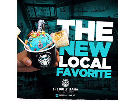 The Dolly Llama The Dolly Llama Slider 5