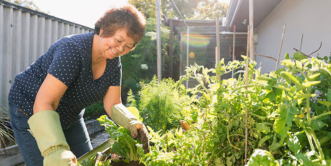 Homewatch CareGivers Slider-7