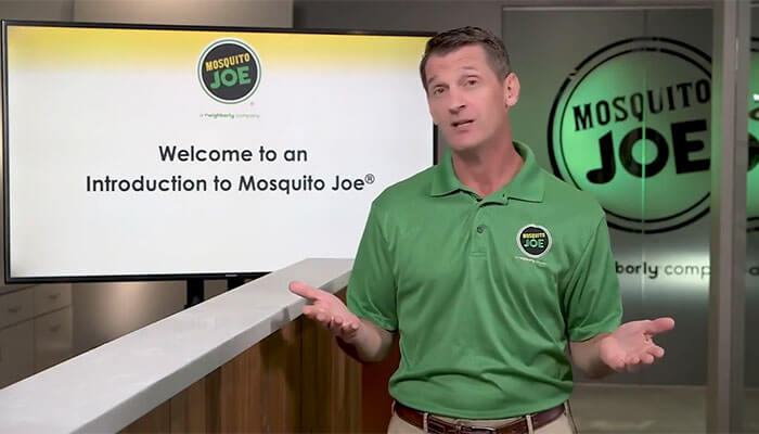 Mosquito Joe Outdoor Pest Control Franchise Information ...