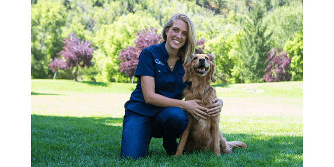 Dog Training Elite Slider-1