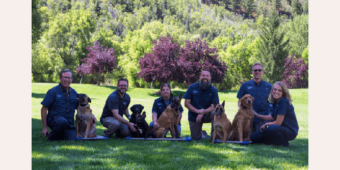 Dog Training Elite Slider-2