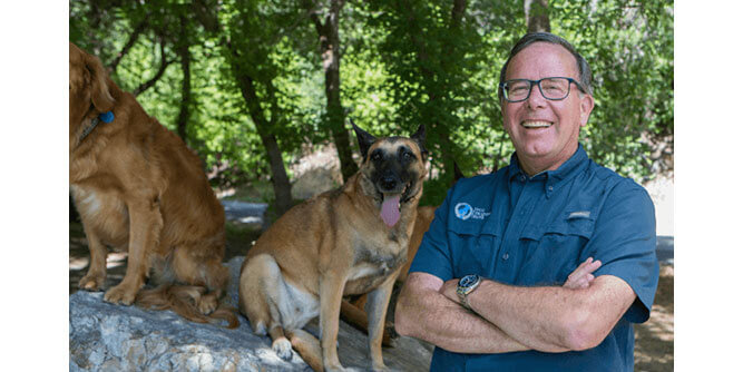 Dog Training Elite Slider-3