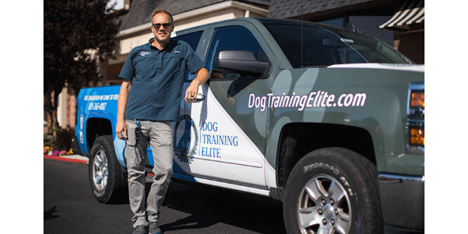 Dog Training Elite Slider-4