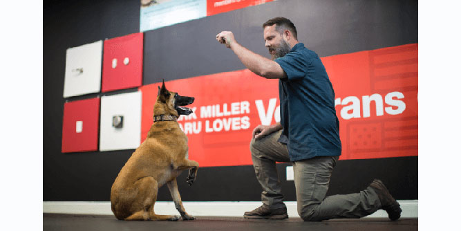 Dog Training Elite Slider-5