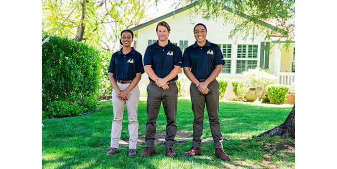 Monster Tree Service Slider-1